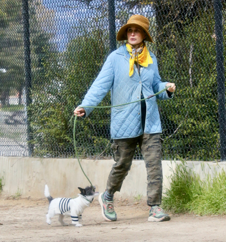 EXCLUSIVE: Actress Andie MacDowell is barely recognizable walking her pup at the Silverlake Reservoir walking trails