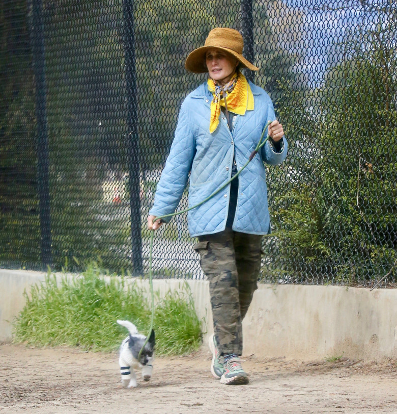 EXCLUSIVE: Actress Andie MacDowell is barely recognizable walking her pup at the Silverlake Reservoir walking trails