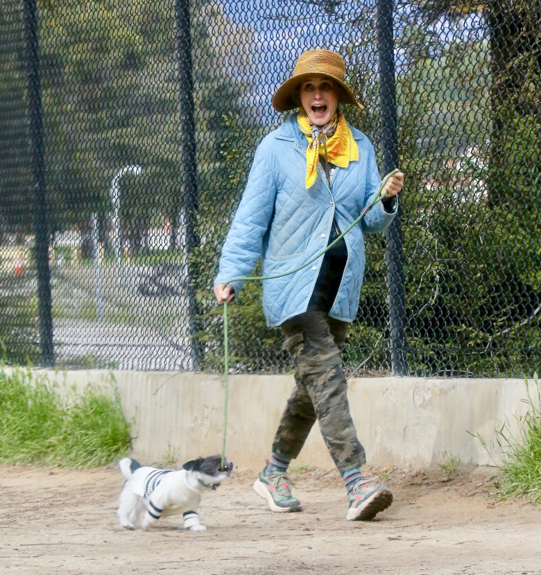 EXCLUSIVE: Actress Andie MacDowell is barely recognizable walking her pup at the Silverlake Reservoir walking trails