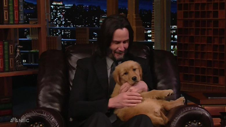 Keanu Reeves declares himself the Puppy King as he faces off against Jimmy Fallon in a game of Pup Quiz on The Tonight Show