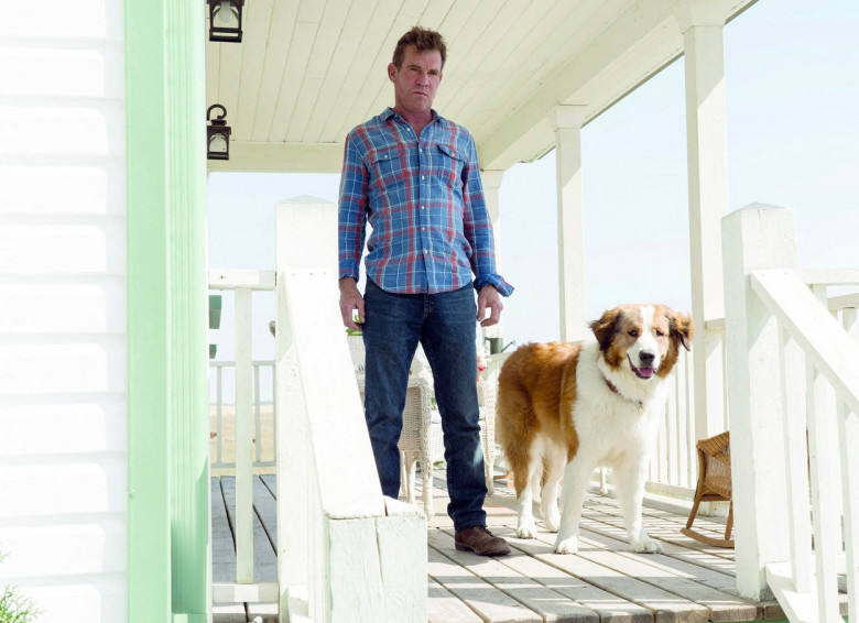 dennis quaid (1)