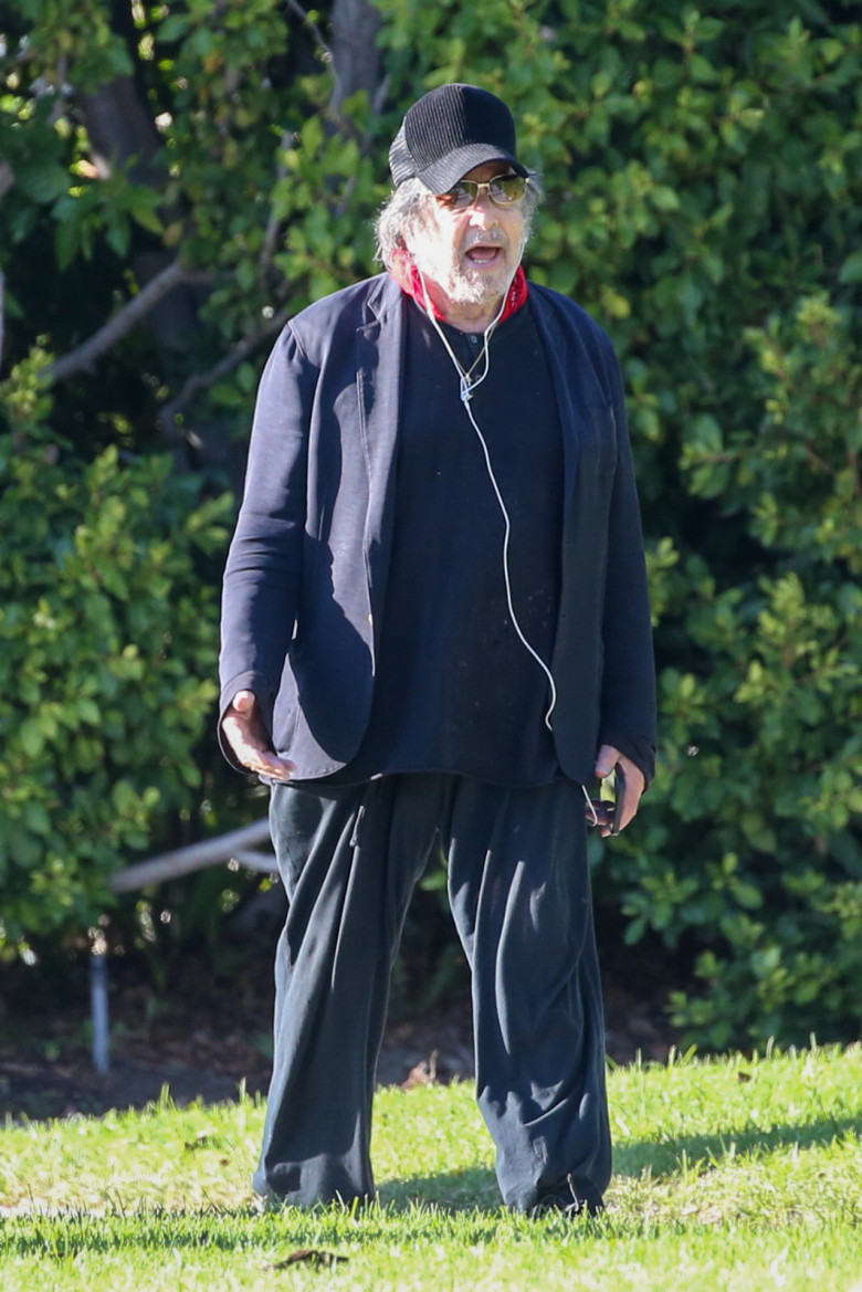 EXCLUSIVE: Al Pacino Seen Leaving The Four Seasons With his Shrek Phone case