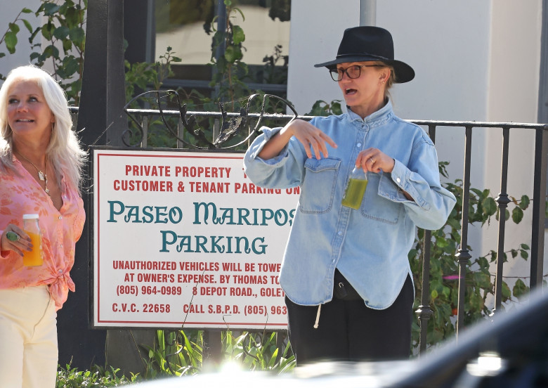 *EXCLUSIVE* Cameron Diaz steps out with her lookalike mother and daughter as they take in the sights in Santa Barbara***web must call for pricing***