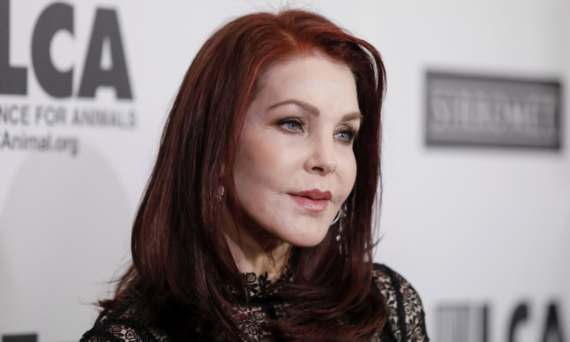 Last Chance For Animals&apos; 35th Anniversary Gala