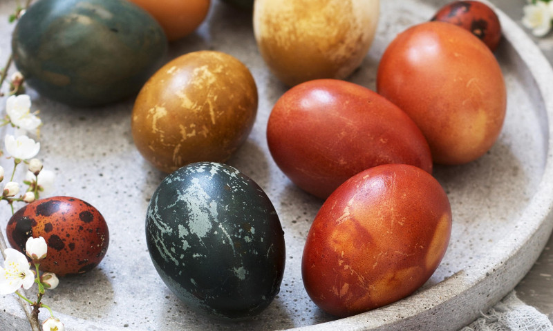 Easter eggs dyed with natural dyes, cabbage, chamomile, hibiscus and onion peel. Selective focus.
