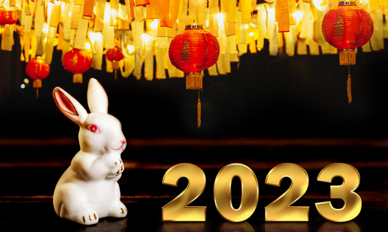 Horoscop chinezesc 2023/ Shutterstock