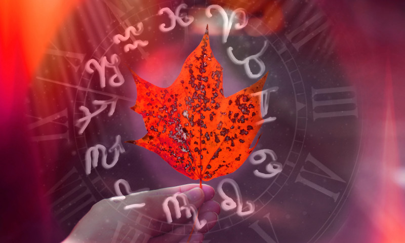 Horoscopul lunii octombrie 2023/ Shutterstock