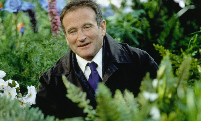 robin williams