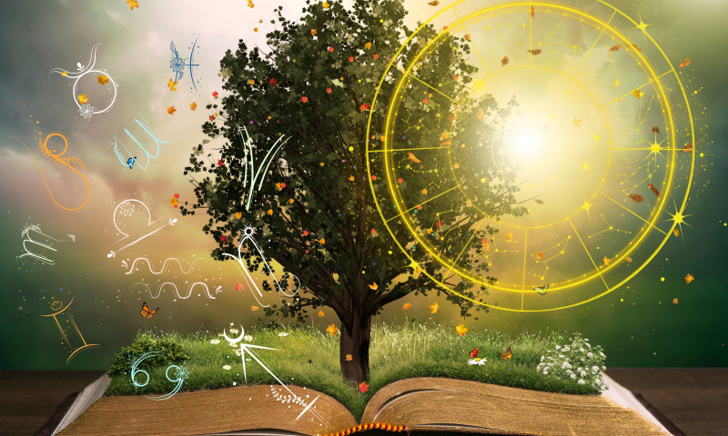 Zodiac,Astrology,Horoscope,Wheel,As,Tree,On,A,Book,,Zodiac