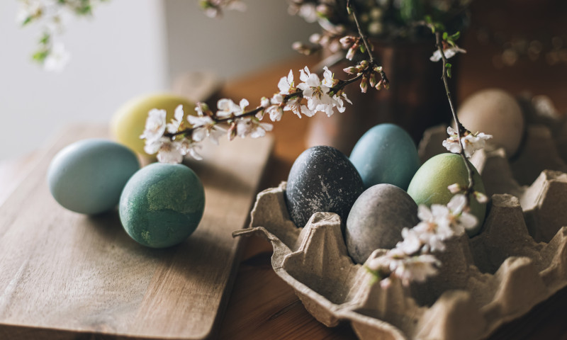 Happy,Easter!,Easter,Eggs,On,Rustic,Table,With,Cherry,Blossoms.