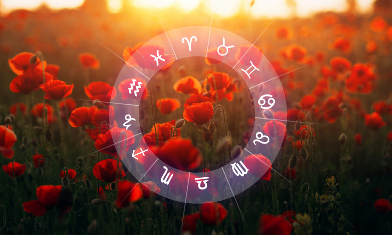 Zodiac floral/ Shutterstock