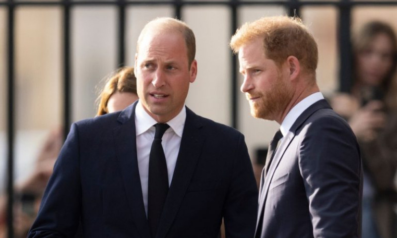Prințul Harry și William, septembrie 2022/ Profimedia Images
