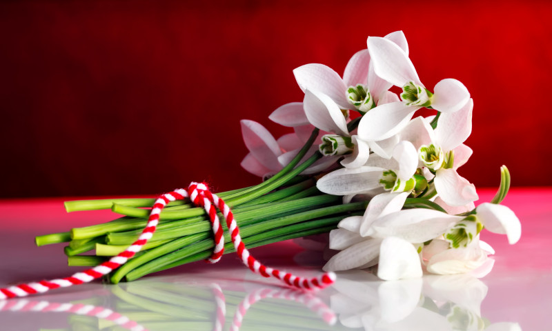Snowdrops,,1st,Of,March,Tradition,White,And,Red,Cord,Martisor