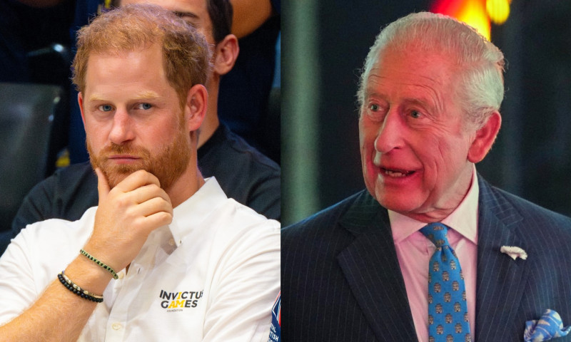 printul harry, regele charles