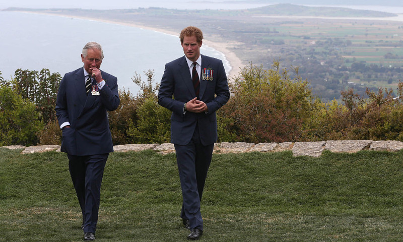 regele charles si printul harry