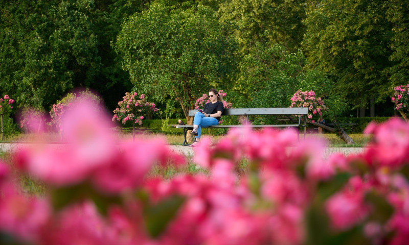 vara, femeie pe banca in parc