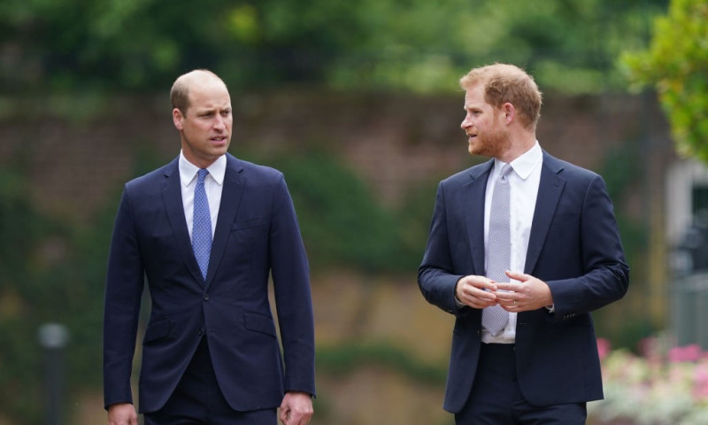 printul william si printul harry
