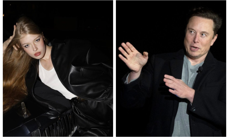 Vivian Wilson, fiica înstrăinată a lui Elon Musk