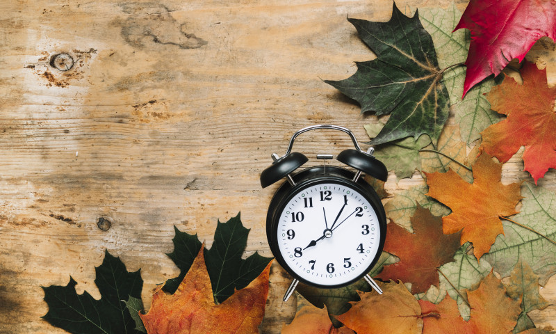 Echinocțiul de toamnă 2025/ Freepik