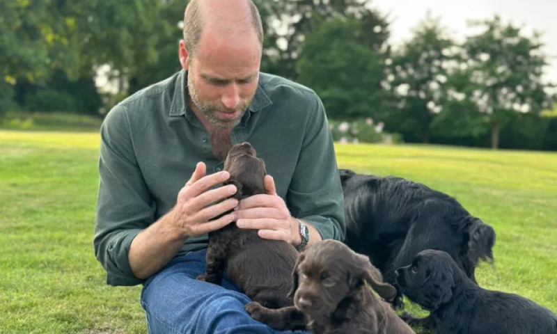 printul william inconjurat de catelusi