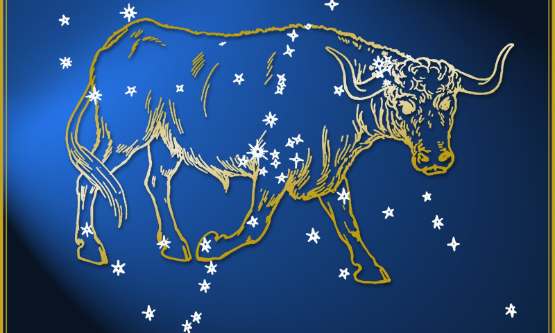 Zodiac sign - Taurus