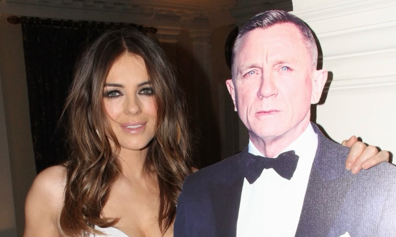 Elizabeth Hurley (6)