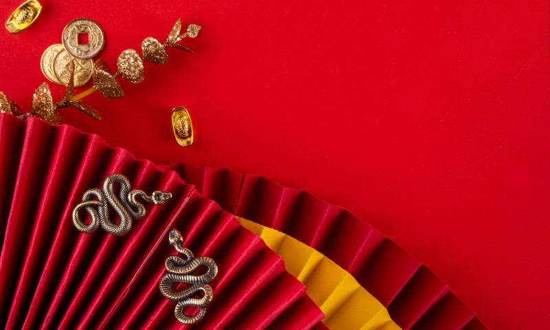 Ce trebuie să lase în urmă fiecare zodie până la finalul Anului Șarpelui/ Profimedia