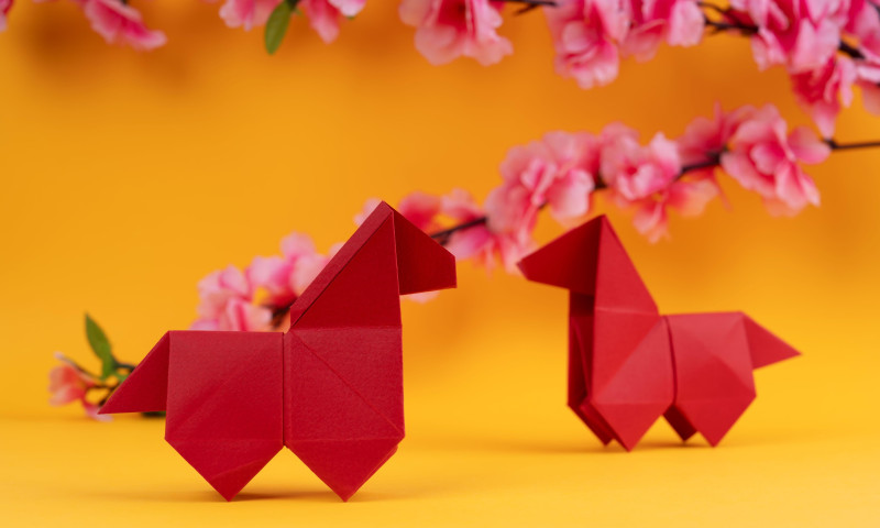 Anul Calului de Foc/ Profimedia