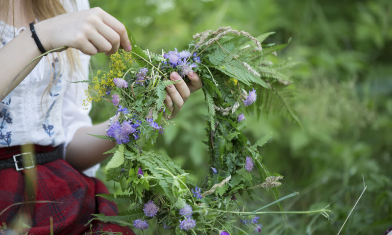 primavara, flori, coronita de flori