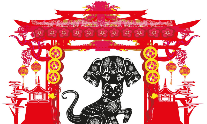 Zodia Câine in zodiacul chinezesc