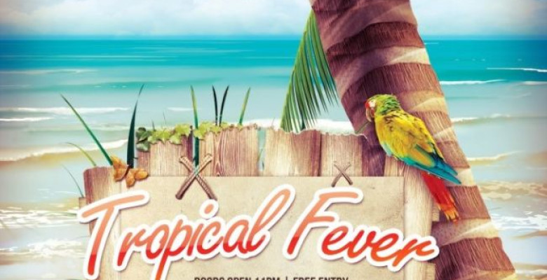 tropical-feever-the-push-1-februarie