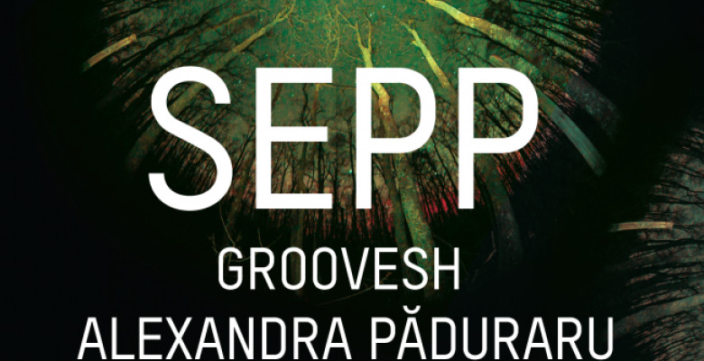 sepp-answer-club-iasi-groovesh-alexandra-paduraru-stefano-d-sambata-18-octombrie