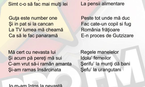 s-a-facut-opera-lui-gutza-asculta-ce-a-creat-alarmaprofm-audio