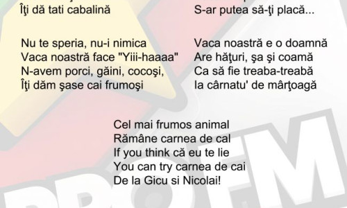 parodia-dedicata-strainilor-care-au-o-probleme-cu-caii-din-romania-asculta-piesa-facuta-de-gicu-si-nicolai 1