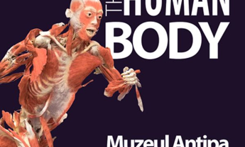 alarma-profm-singurul-matinal-radio-din-romania-transmis-live-de-la-expozitia-the-human-body-asculta-i 1