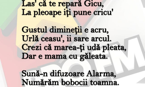 asculta-balada-trezitului-de-dimineata-scapa-de-plictis-cu-echipa-alarmaprofm-de-vis-audio