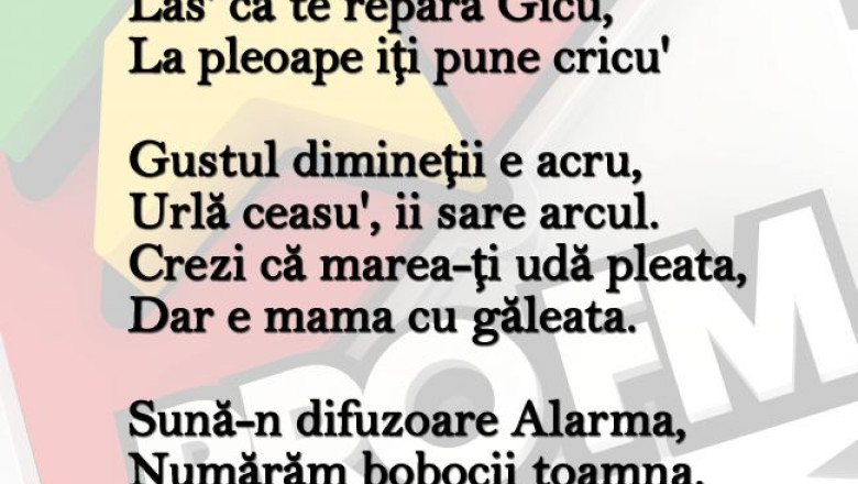 asculta-balada-trezitului-de-dimineata-scapa-de-plictis-cu-echipa-alarmaprofm-de-vis-audio