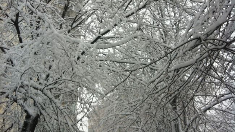 prognoza-meteo-pentru-iarna-in-versuri-auzita-dimineata-la-alarmaprofm-asculta