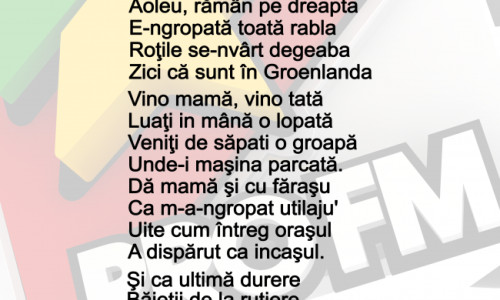 cantec-de-vijelie-ce-a-facut-zapada-din-zilele-astea-in-versuri-scrise-de-nicolai-de-la-alarmaprofm-audio 1