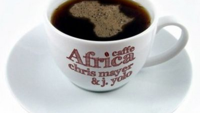 george-vintila-recomanda-chris-mayer-jacques-yolo-caffe-africa