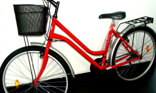 profm-ofera-o-bicicleta-rosie-pe-zi