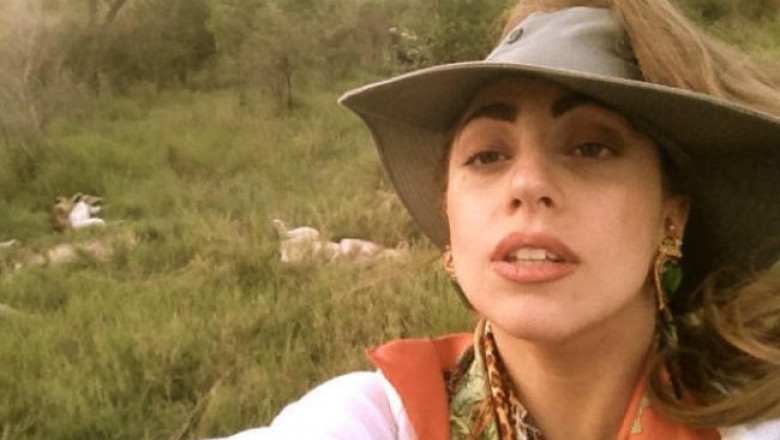 lady-gaga-la-un-pas-sa-fie-sfasiata-de-lei-vexi-poze-cu-artista-dintr-un-safari 1