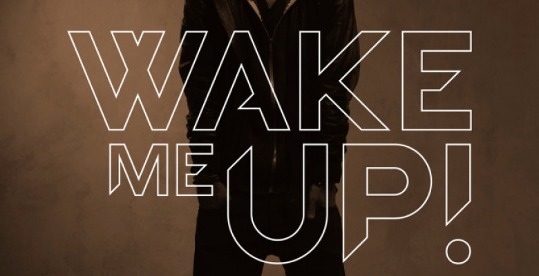 wake-me-up-feat-aloe-blacc