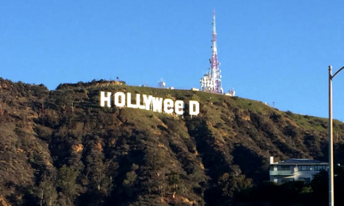 hollyweed