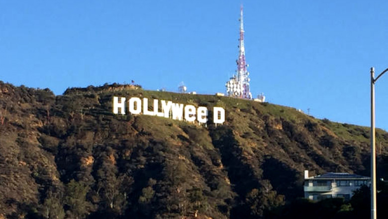 hollyweed