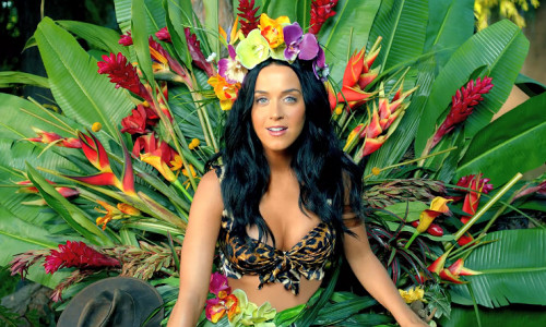 katy perry - ROAR - video