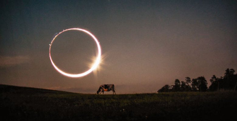 Top 10 Cele Mai Tari Fotografii Cu Eclipsa TotalÄƒ De Soare Din 2017