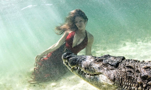 sedinta-foto-crocodili-header