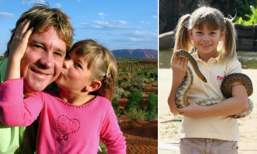 bindi irwin steve irwin 3