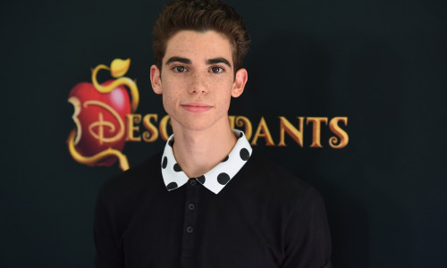 Premiere Of Disney's "Descendants" - Red Carpet